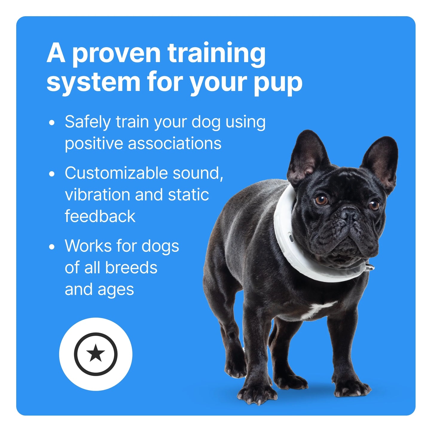 3 - Wireless GPS Dog Fence & Training Collar with Real-Time Tracking, Orchid, Small