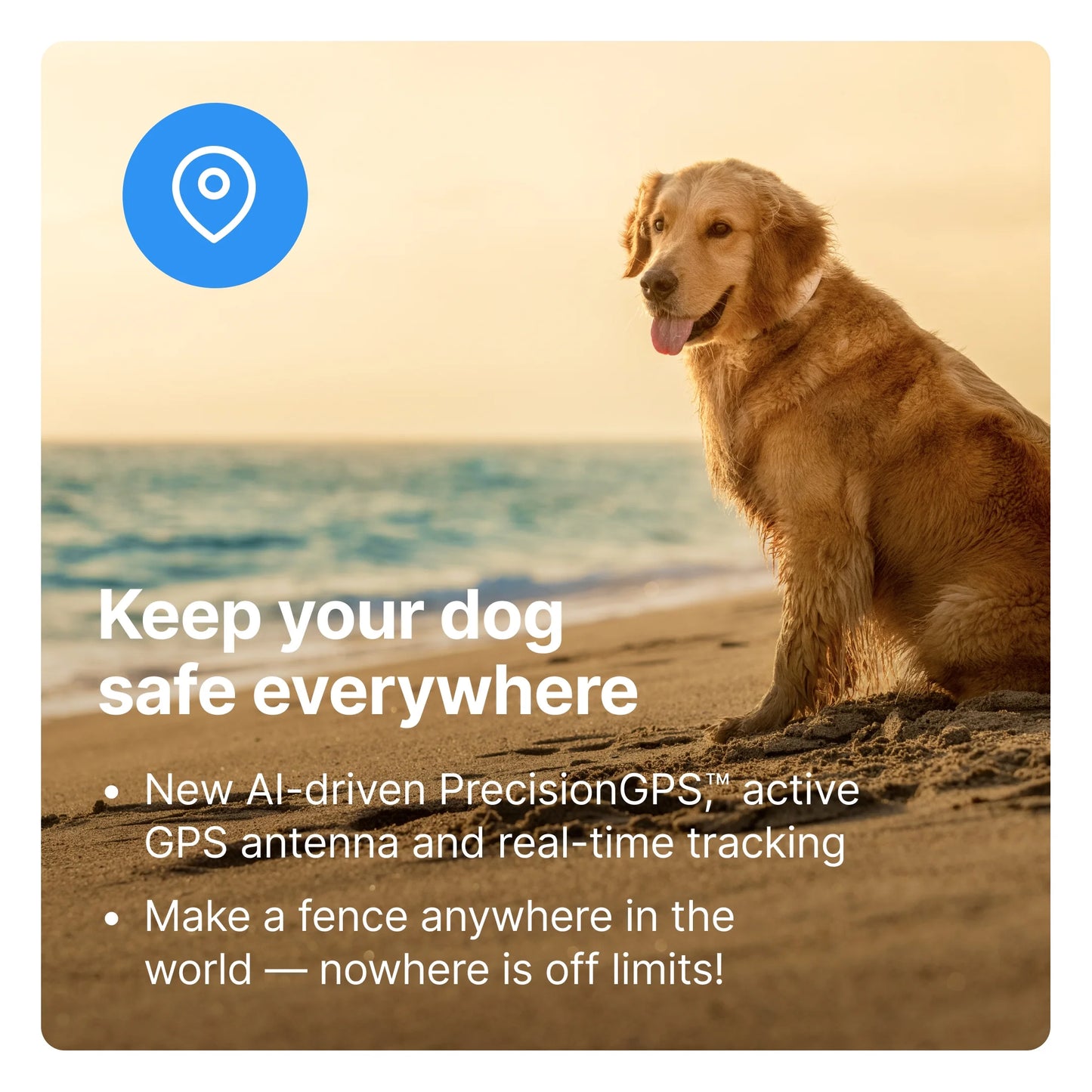 3 - Wireless GPS Dog Fence & Training Collar with Real-Time Tracking, Orchid, Small