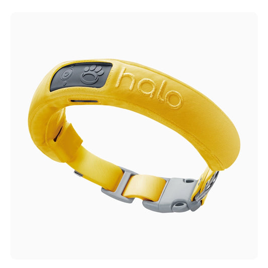 3 - Wireless GPS Dog Fence & Training Collar with Real-Time Tracking, Orchid, Small